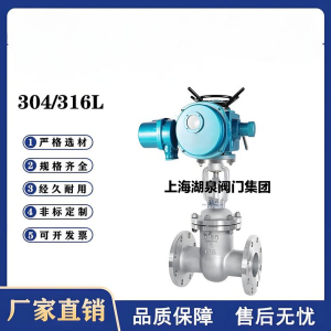 Z941W-16P，DN250，CF8/F304不銹鋼電動閘閥